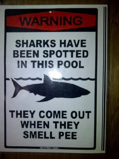 shark-pee.jpeg (46 KB)