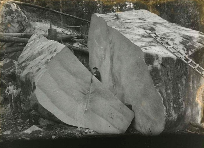 logging-in-the-Redwood-Forests-of-California3.jpg (126 KB)