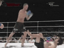 look_before_leap.gif (483 KB)