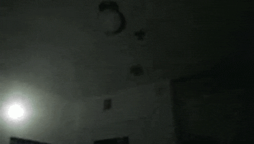ceiling_hands.gif (872 KB)