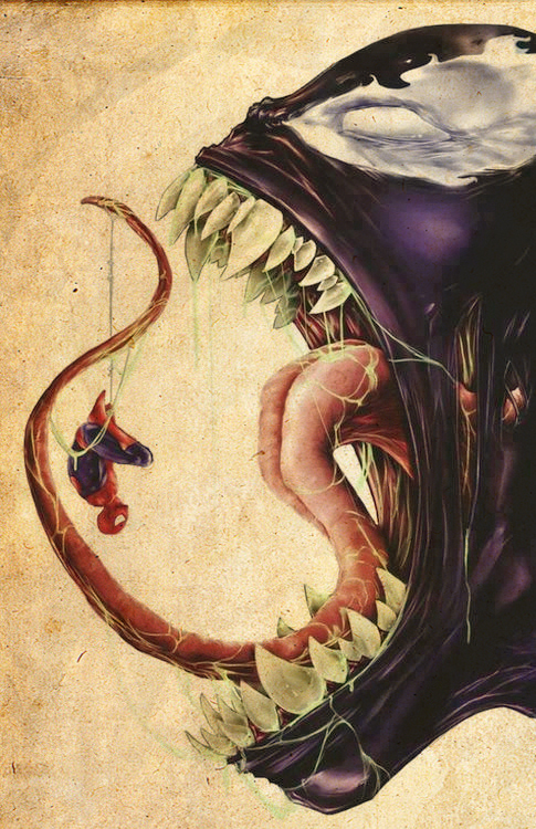 c-spidery1.jpg (386 KB)