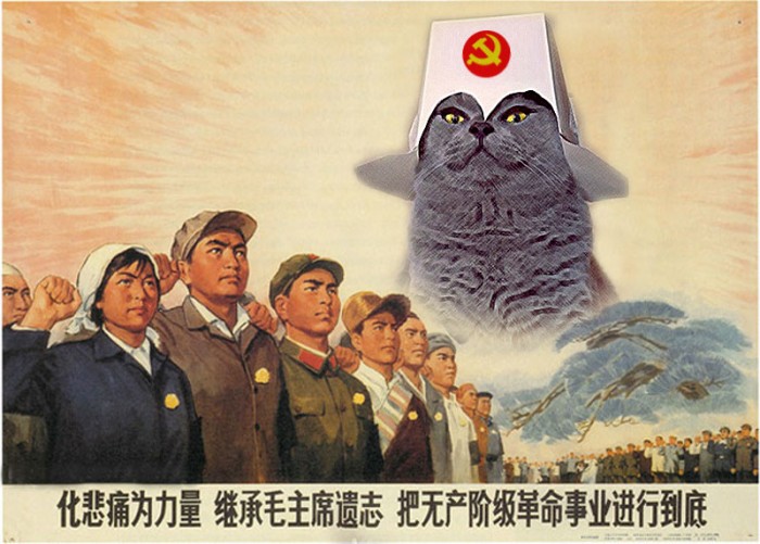 5bWjF.jpg (111 KB)