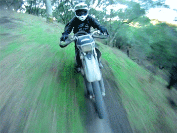 steadycam_motocross.gif (965 KB)