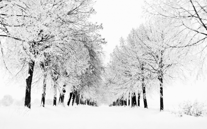 snow.png (1 MB)
