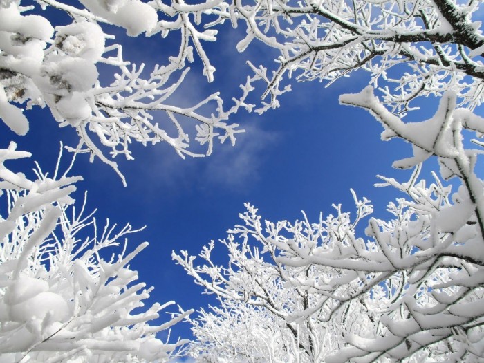wallpaper-839658.jpg (502 KB)