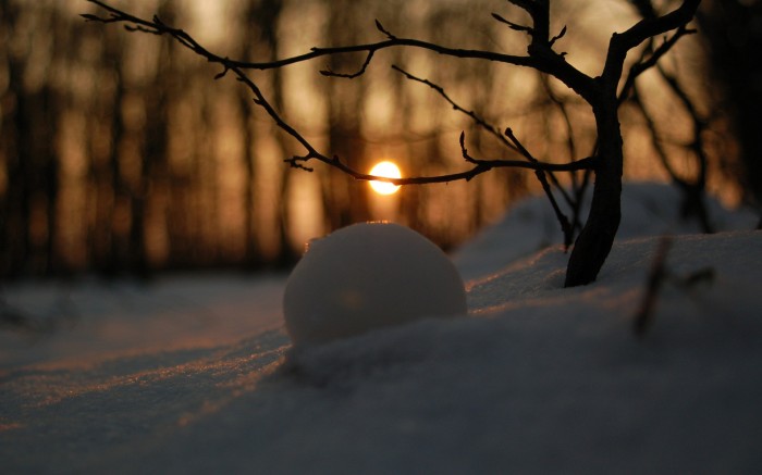 wallpaper-873850.jpg (281 KB)