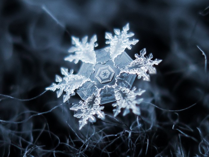 snowflake.jpg (231 KB)
