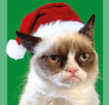 catgrinch.jpg (33 KB)