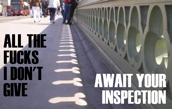 allthefucks_inspection_P0.PNG (329 KB)