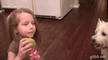tooth_removal.gif (1 MB)