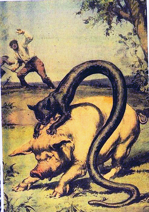 catsnake.jpg (180 KB)