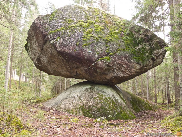 balance-in-nature.jpg (589 KB)