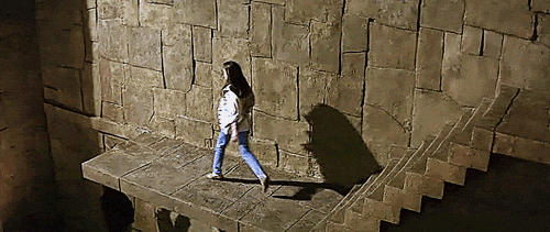 labyrinth1.gif (1017 KB)