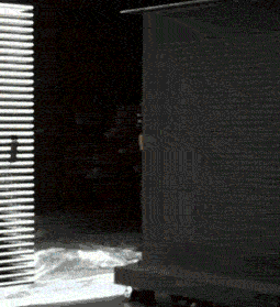 paintball_monalisa.gif (491 KB)
