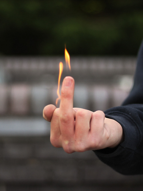 flaminfuck.jpg (65 KB)