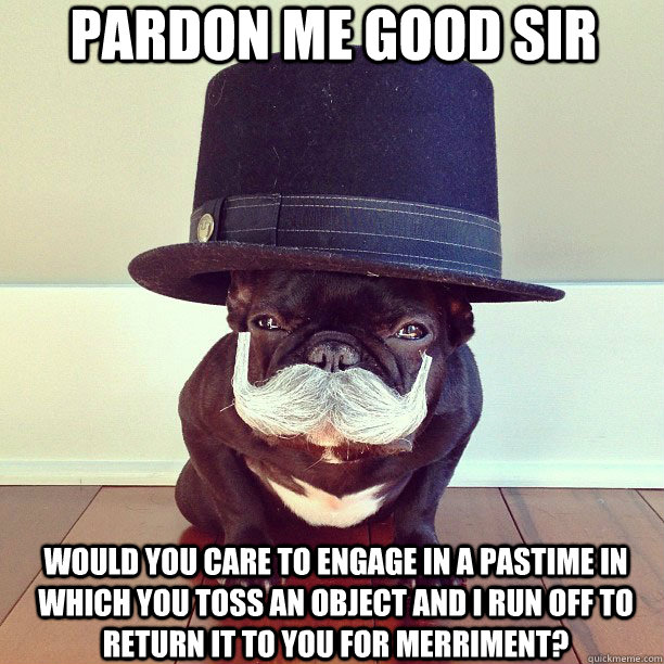pardon-me-good-sir-dog-pastime.jpg (108 KB)