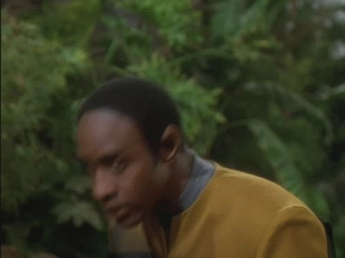 Star_Trek_Voyager_02x22.gif (2 MB)