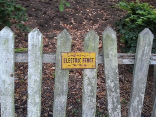 electric-fence.jpg (46 KB)
