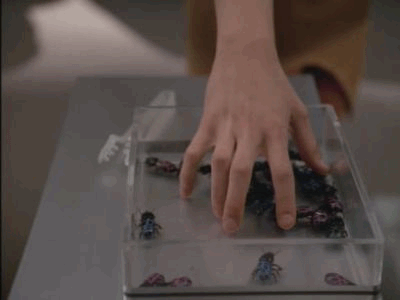 Star_Trek_Voyager_02x04_1.gif (4 MB)