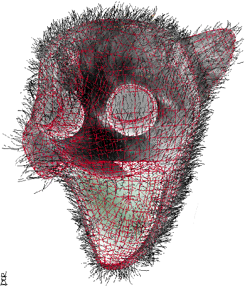 eyefuck-cat1.gif (131 KB)