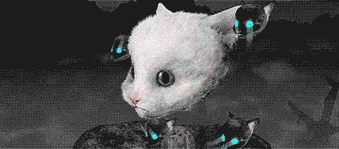 eyefuckcat2.gif (1 MB)