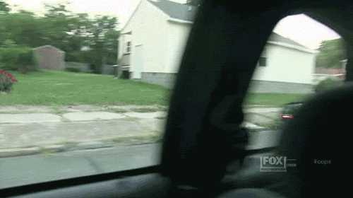 tumblr_mhzr9a6klD1rwyf7ko1_500.gif (987 KB)