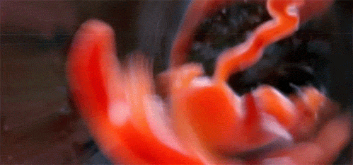 tumblr_m2kf7cV2RZ1qg39ewo1_500.gif (676 KB)