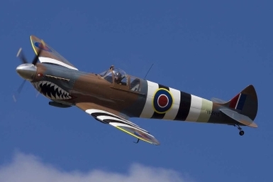 Spitfire-in-air-side.jpg (45 KB)