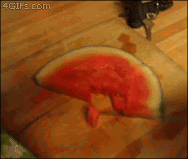 coon+watermelon.gif (1 MB)