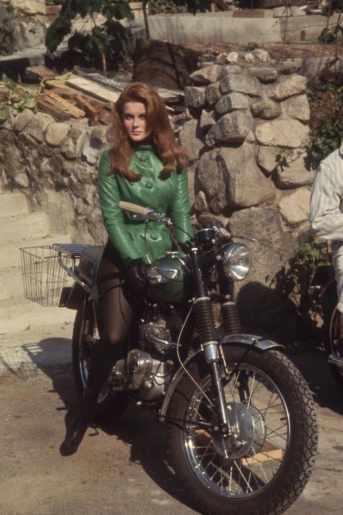 Ann-Margret-1.jpg (104 KB)