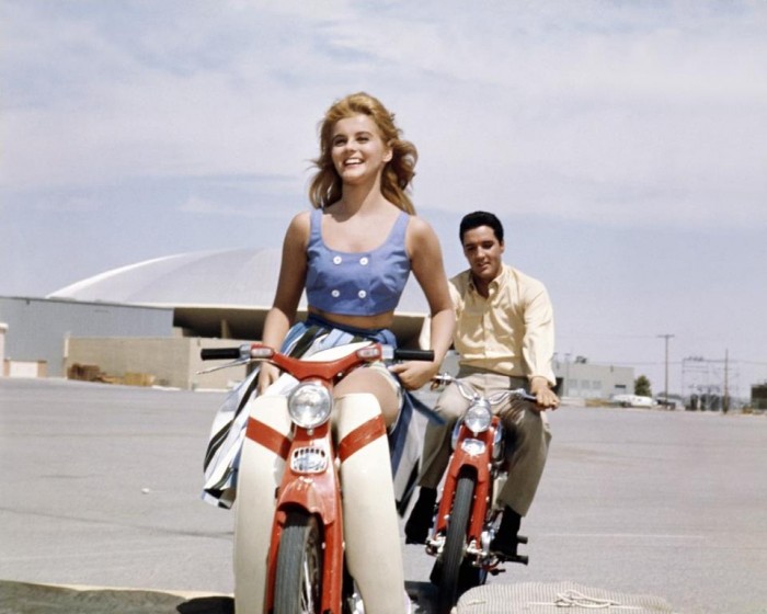 Ann-Margret3_n-1.jpg (65 KB)