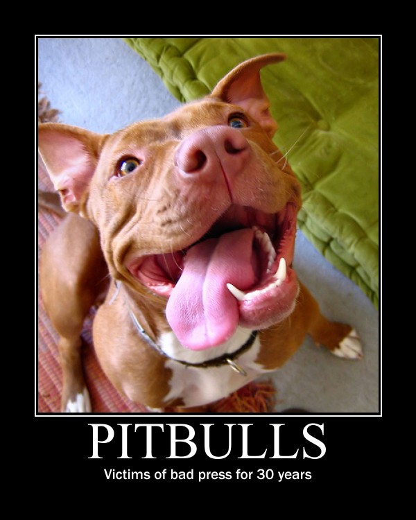 motivator85226c6551f9fa9fd75a5f4d8e038647e636d454.jpg (80 KB)