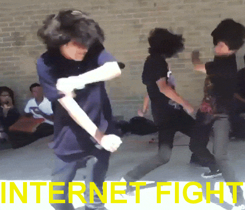 internet-fight.gif (1 MB)