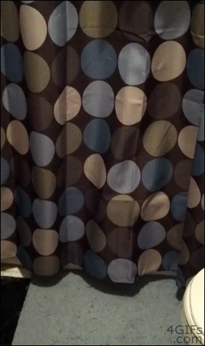 lazercat000.gif (1 MB)