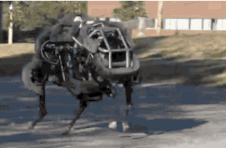 hopalongbot2.gif (917 KB)