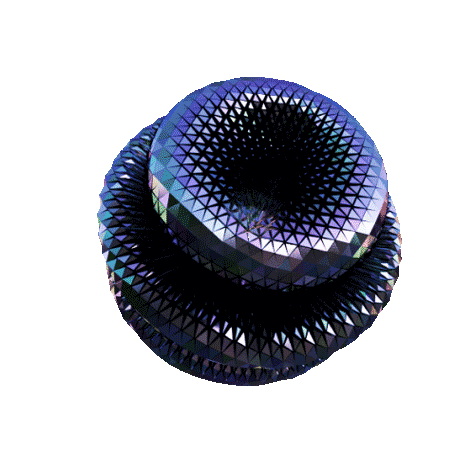 buckyhole.gif (976 KB)