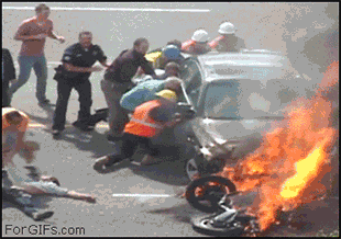 tumblr_mvg531aXd81qzpsuoo1_400.gif (1009 KB)