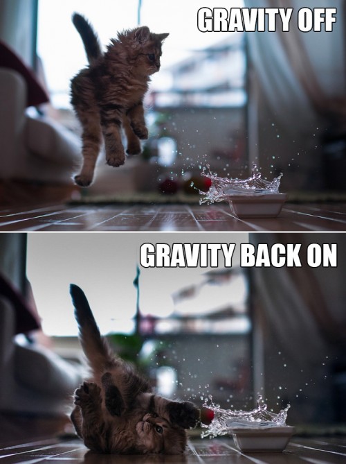 Gravity-Off-and-On-500x669.jpg (70 KB)