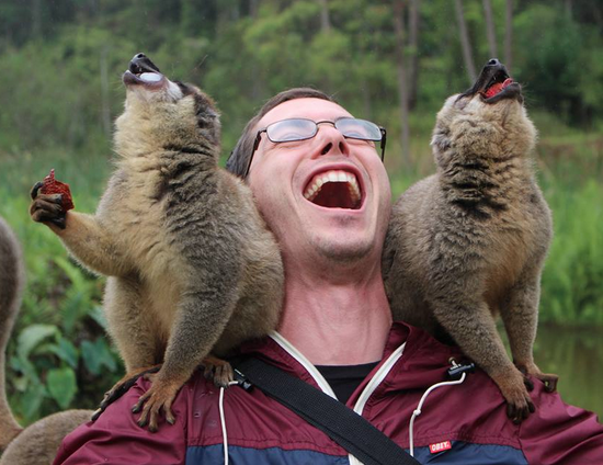 my_monkey_minions.png (383 KB)