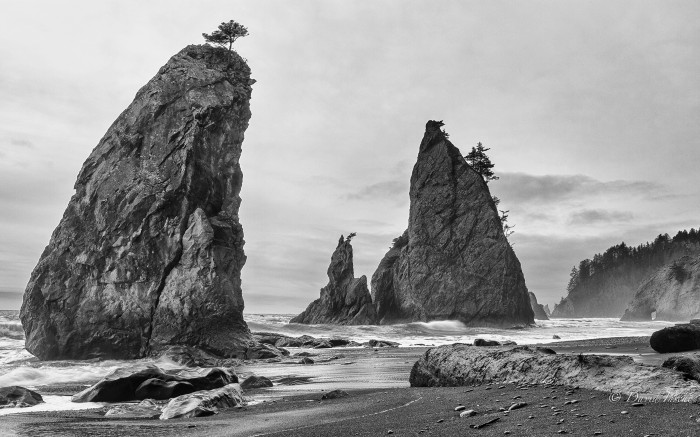 big_195e5393989b930304d62440f8c9470f46c86d59.jpg (2 MB)