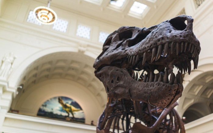 big_b3e3ff9e5bb04acc785b0c57306377f1433f3ef9.jpg (2 MB)