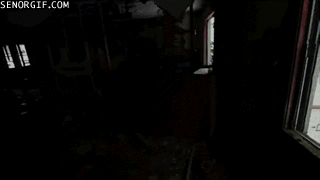 h81D3B48D.gif (1 MB)