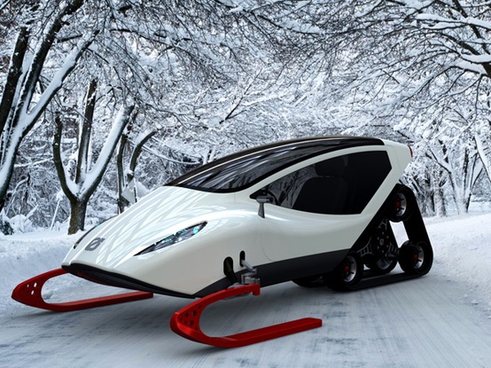 snow-machine-for-two.jpg (129 KB)