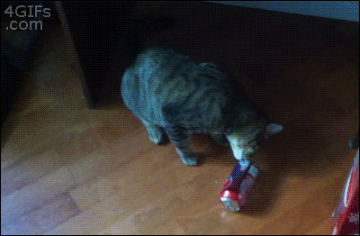 daily-wtf-031-06162013.gif (1 MB)
