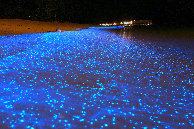 Sparkling shore