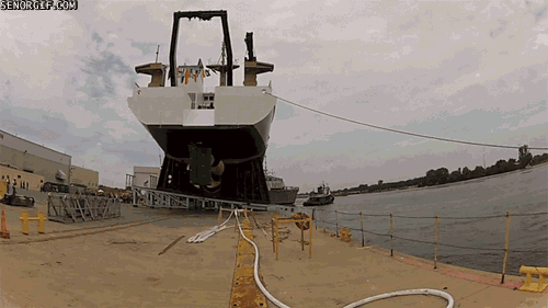 h6186DCC9.gif (1 MB)