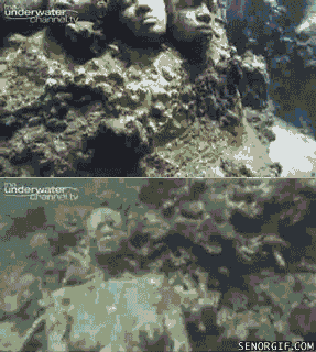 hB2A7A882.gif (1 MB)