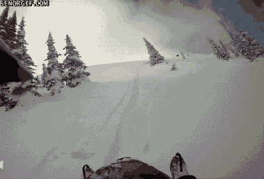 h7BEBE300.gif (1 MB)