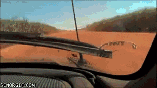 h90368DDC.gif (1 MB)