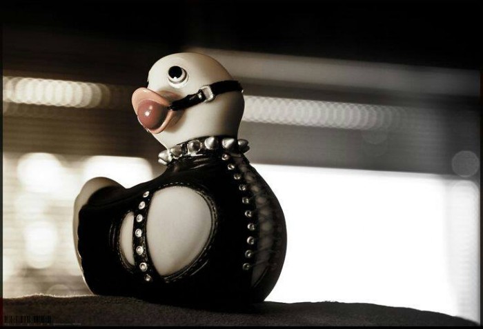 rubber_duck.jpg (31 KB)